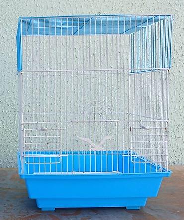 кыргыз корм: Yeni qefes 10 manat — 1