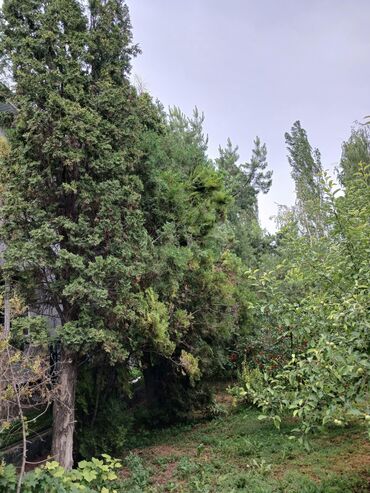 Продажа домов: Дом, 88 м², 4 комнаты, Агентство недвижимости, Косметический ремонт — 26