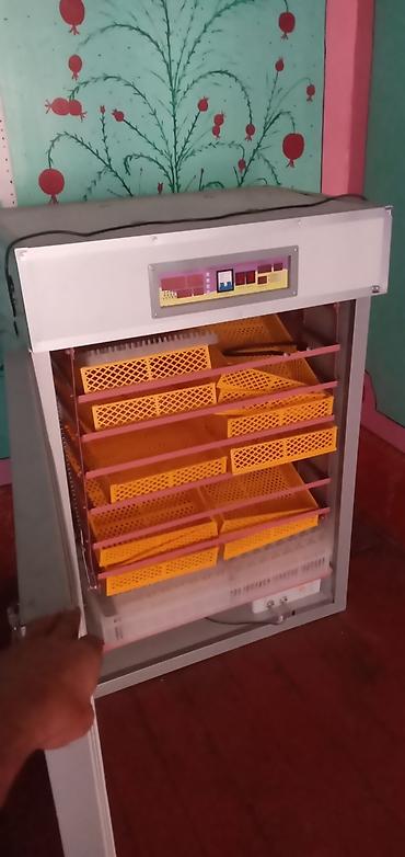 vendam kendi: 1500 yumurta, Rusiya, Fabrik istehsalı — 4