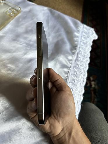 Apple iPhone: IPhone 15 Pro Max, 256 GB, Gümüşü, Face ID — 4