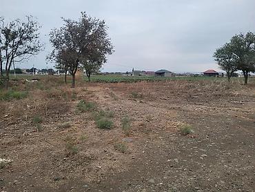 Torpaq sahələrinin satışı: 58 sot, Biznes üçün, Kupça (Çıxarış) — 2