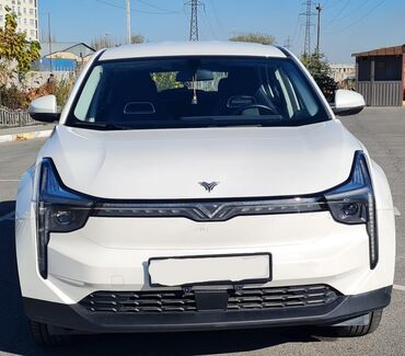 BYD: BYD : 2022 г., Автомат, Электромобиль, Кроссовер — 9