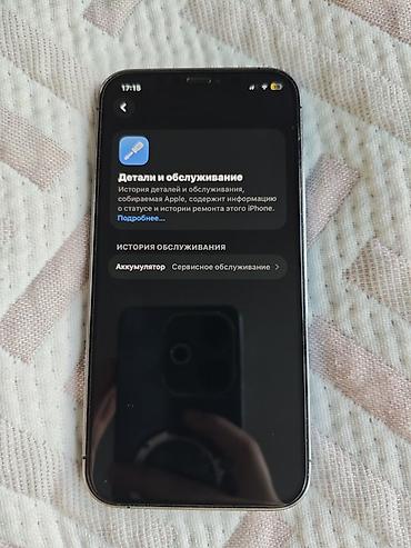 Apple iPhone: IPhone 12 Pro, 256 ГБ, Pacific Blue — 6
