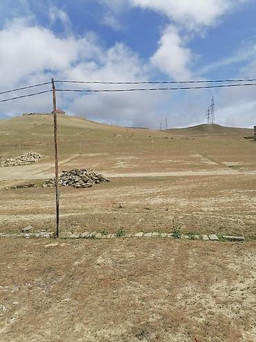 torpaq buzovna: 8 sot, Tikinti, Mülkiyyətçi, Kupça (Çıxarış) — 4