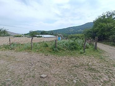 cıxarış nədir: 3 sot, Tikinti, Mülkiyyətçi, Kupça (Çıxarış) — 1