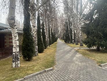 Продажа квартир: 1 комната, 50 м² — 18