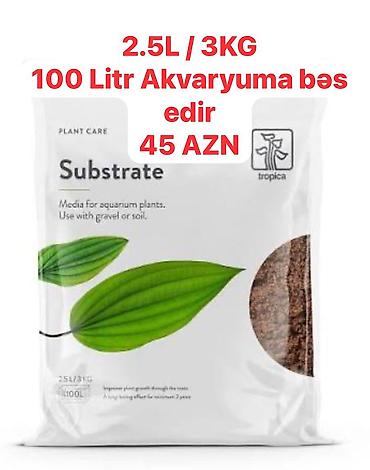 Filtrlər: Hamısı cəmi 43 AZN 1 ədəd Pastlanmaz şüşə silən 50 sm + üzərində 10 — 11