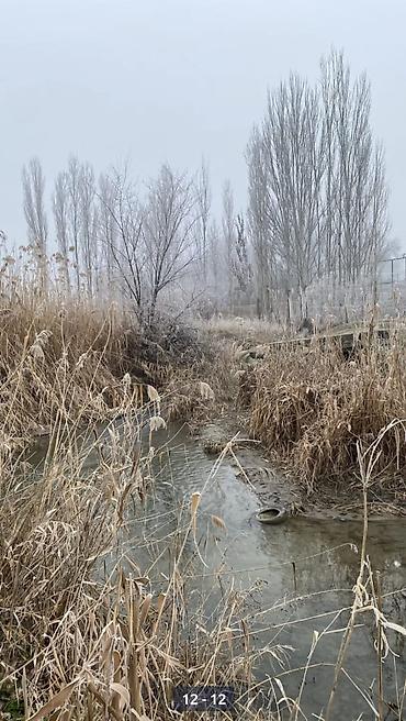 Продажа коттеджей и домов: 🏡 Продается дом с большим участком в селе Учкун (район аэропорта) 📍 — 12