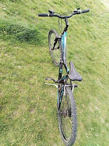 kupaci kostimi koji se brzo suse: Capriolo Diavolo 26inc 18 Brzina Shimano/Povoljno Kvalitetna — 5