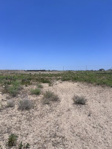 Torpaq sahələrinin satışı: 12 sot, Tikinti, Mülkiyyətçi, Bələdiyyə -da lalafo.az — 6 Torpaq sahələrinin satışı: 12 sot, Tikinti, Mülkiyyətçi, Bələdiyyə — 6