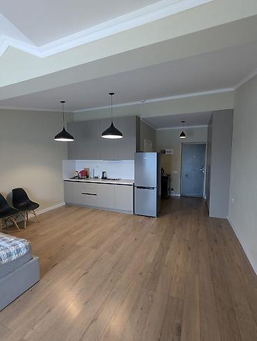 Долгосрочная аренда квартир: Студия, С мебелью полностью — 5