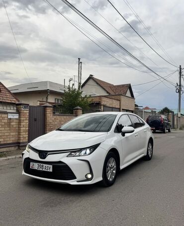 тойота карола 2000 годы: Toyota Corolla: 2019 г., 1.8 л, Вариатор, Гибрид, Седан