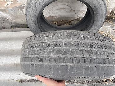 255: Шины 255 / 55 / R 18, Зима, Б/у, Пара, Внедорожные (АТ/МТ), Pirelli — 1