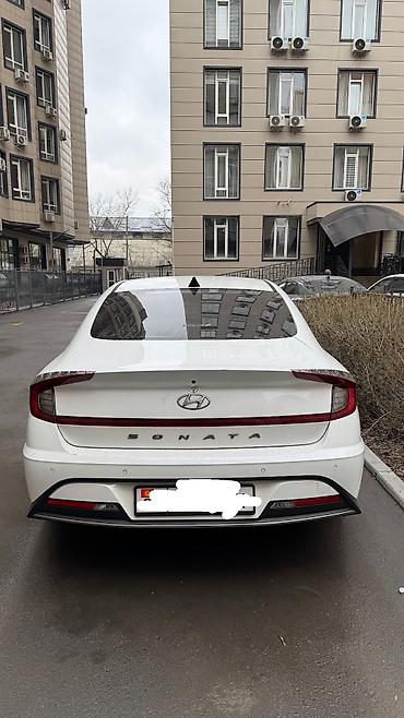 sonata: Hyundai Sonata: 2019 г., 2 л, Автомат, Бензин, Седан — 4