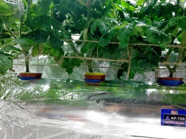 Другие товары для дома и сада: Гидропоника!!!!- это метод автоматезированного выращивания — 20