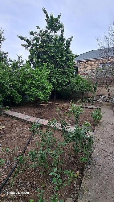 Darvazalar və aksesuarlar: İşlənmiş Dəmir Həyət darvazası, Yana açılan, Mexaniki, Qapı ilə, Kredit yoxdur — 6