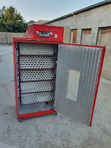 инкубаторы для яиц: Yeni inkubatordur. Ümumi 840 yumurta tutumu var. Fermer təsərrüfatı və — 1