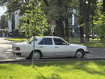 w124 e320: Mercedes-Benz W124: 1991 г., Механика, Бензин, Седан — 3