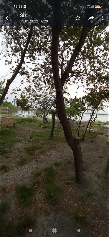 Torpaq sahələrinin satışı: 14 sot, Biznes üçün, Mülkiyyətçi, Kupça (Çıxarış) -da lalafo.az — 18 Torpaq sahələrinin satışı: 14 sot, Biznes üçün, Mülkiyyətçi, Kupça (Çıxarış) — 18