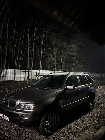 BMW: BMW X5: 2004 г., 3 л, Автомат, Дизель, Внедорожник — 12