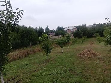 lalofo gence: 10 sot Kənd təsərrüfatı, Qaz, İşıq, Su — 2