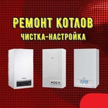 напольный газовый котел: Предлагаются услуги по ремонту, чистке и настройке различных моделей