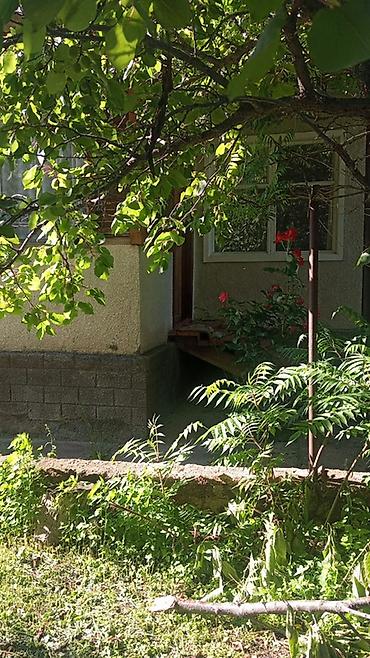 тынчтык ж м: Сдается посуточно Дом с садовым участком на иссык-куле - Уютный — 1