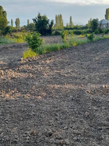 Torpaq sahələrinin satışı: Xaçmaz rayonu, Hülövlü kəndində torpaq satılır, kəndin asfalt yolundan