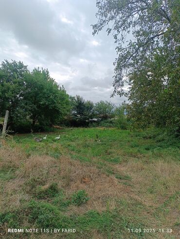 Torpaq sahələrinin satışı: 30 sot, Kənd təsərrüfatı, Mülkiyyətçi, Kupça (Çıxarış) — 5