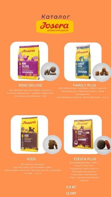дом для кош: Сухое корма для собак Josera — линейка рационов под разные