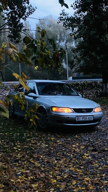 Opel: Opel Vectra: 2000 г., 2 л, Механика, Дизель, Седан