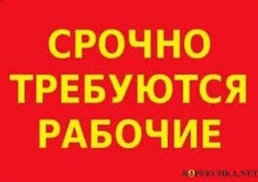 вакансия нарын: Требуются рабочие на склад. Район Пишпека — 1