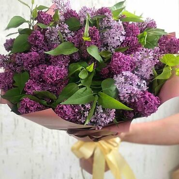 шикарный букет: Апрельский сирень🥰Порадуйте родных дарите сирень😍❤️