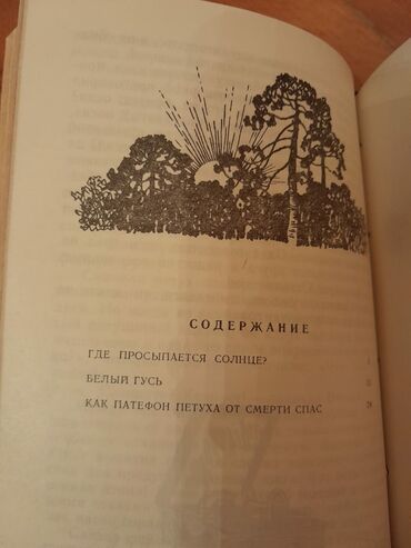 Digər kitablar və jurnallar: Сказки (все сказки в 2-х книгах). Есть ещё детские книги. Чтобы — 19
