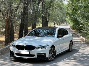 ко 503: BMW 5 series: 2018 г., 2 л, Автоматические, Бензин, Седан