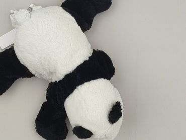 Mascot Teddy bear, condition - Very good