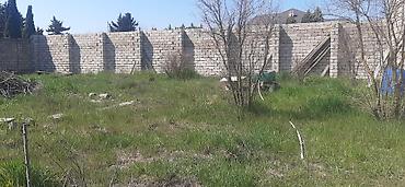 Torpaq sahələrinin satışı: 9 sot, Tikinti, Mülkiyyətçi, Kupça (Çıxarış) — 9