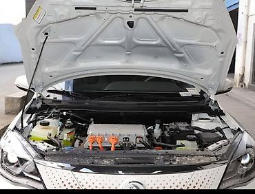 byd e9 1: Dongfeng : 2021 г. — 6