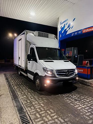 Легкий грузовик, Mercedes-Benz, Стандарт, 3 т, Новый