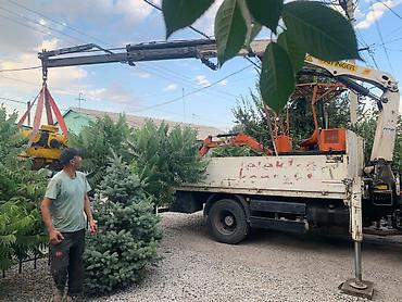 Услуги автокрана: Стрела 7 м, 3 т — 7