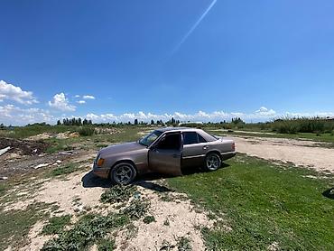 реснички 124: Mercedes-Benz W124: 1990 г., 2.3 л, Механика, Седан — 4
