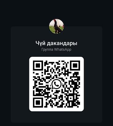 Обучение, курсы: Курсы кыргызского языка — 1