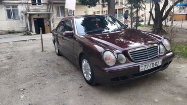 Mercedes-Benz: Mercedes-Benz E-Class (W210) sedan - Kuzov: 4 qapılı sedan, tünd — 6