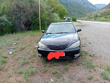 гайа: Toyota Camry: 2005 г., 2.4 л, Автомат, Бензин, Седан — 4