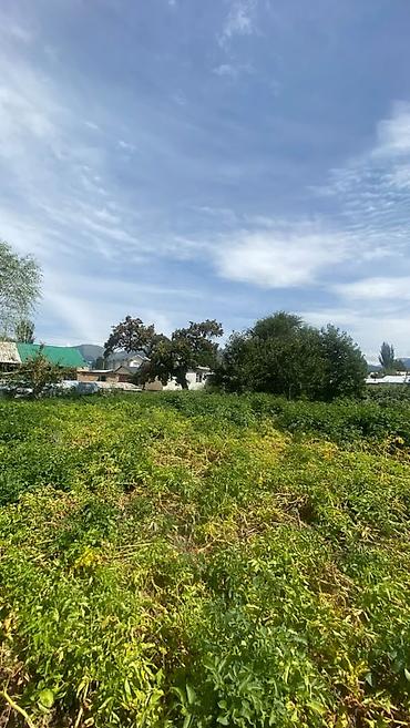 Продажа коттеджей и домов: 5 комнат, 100 м², 21 соток, Ак-Суу, Собственник — 3