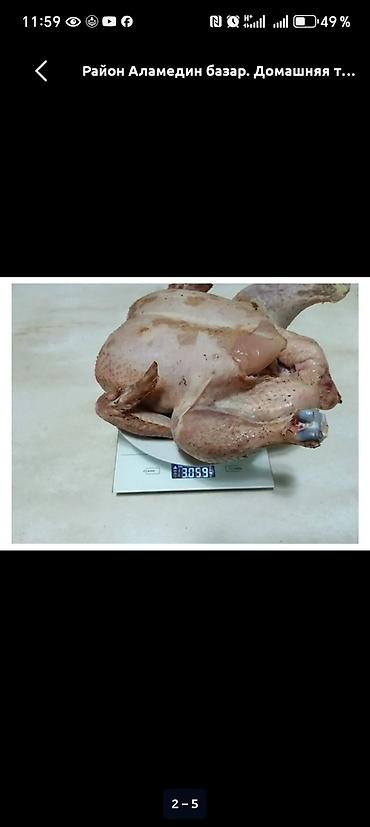 кормушка для кур: Домашняя тушка бройлера. - Категория: мясо птицы — 1