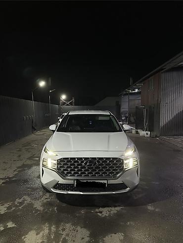 tucson 2020: Hyundai Santa Fe: 2020 г., 2.2 л, Автомат, Дизель, Кроссовер — 1