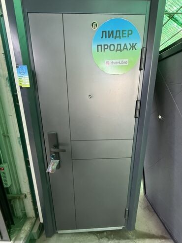 двери для подъезда с домофоном: Металлическая сейфовая дверь