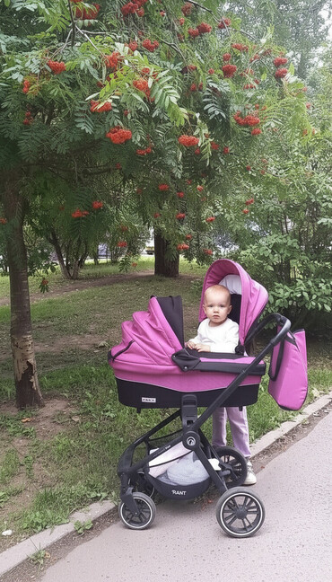 Коляски: Коляска, цвет - Розовый, Б/у — 1