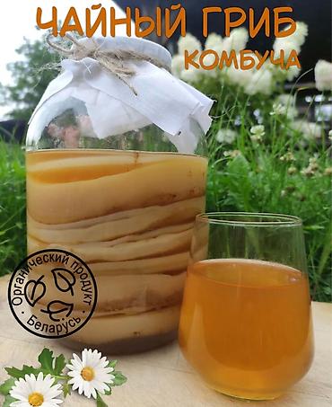 дрожжи кодзи: Чайный гриб (комбуча) — натуральный напиток домашней ферментации. Что — 1